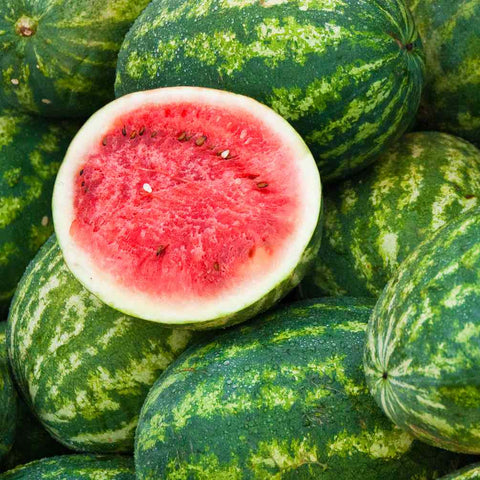Watermelon ~ individually priced