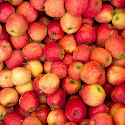 BC Gala Apples – 40lb Box