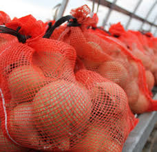 Bulk Cooking onions 50lb