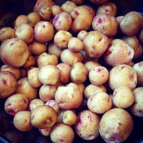 BC Nugget potatoes