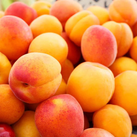 BC Apricots