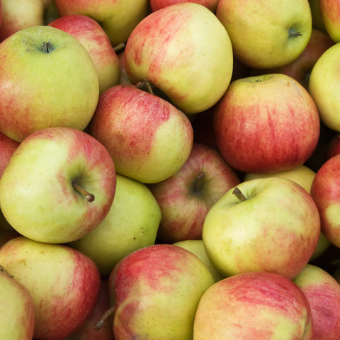 BC Jonagold Apples – 40lb Box