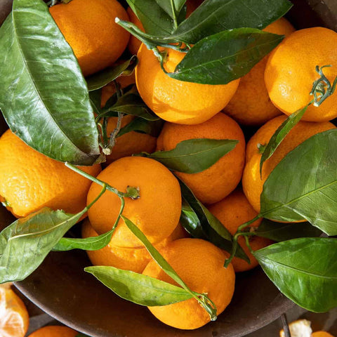 Satsuma oranges