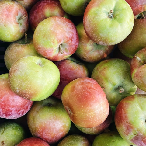 BC Macintosh Apples – 40lb Box