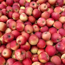 BC Salish Apples – 40lb Box